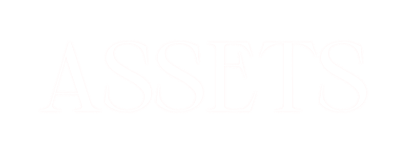 Assets Assets